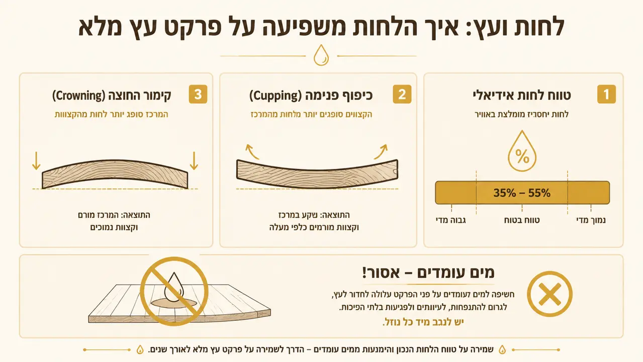 מים ולחות - היכן העץ באמת נכשל
